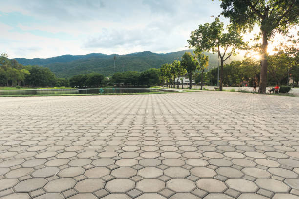 Best Concrete Paver Driveway  in Panhandle, TX