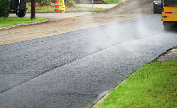 Best Driveway Paving Contractor  in Panhandle, TX